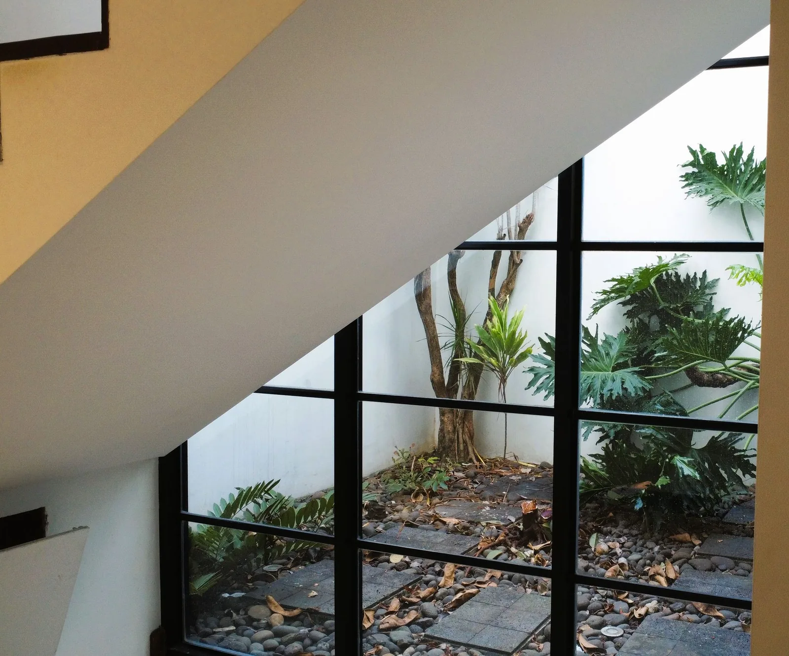 Jardín interno junto a la escalera — casa en alquiler en San Rafael de Escazú