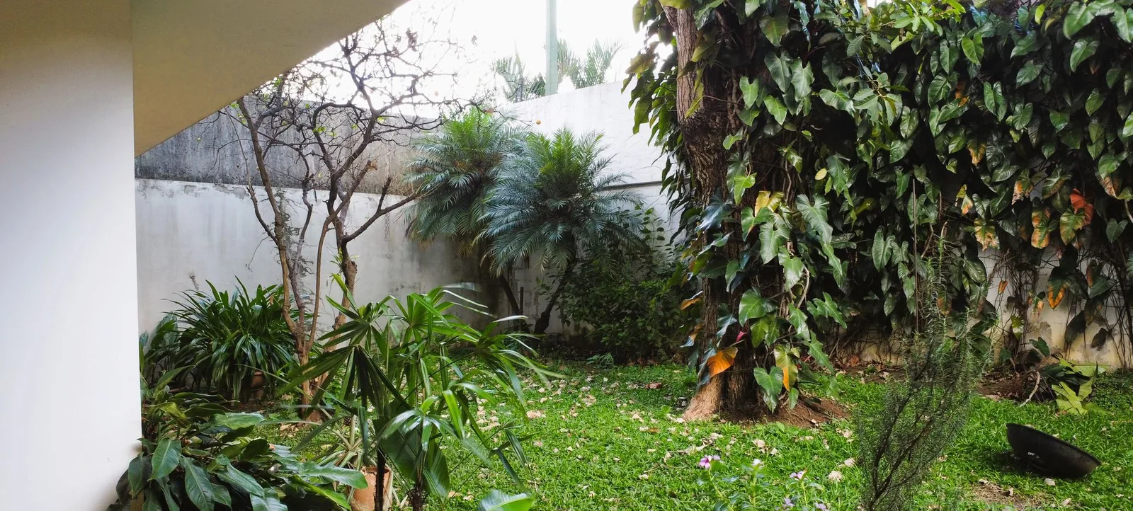 Jardín lateral de la casa — casa en alquiler en San Rafael de Escazú